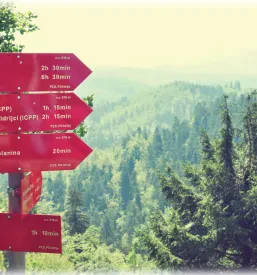 Dobra hrana v koči na Hleviški planini