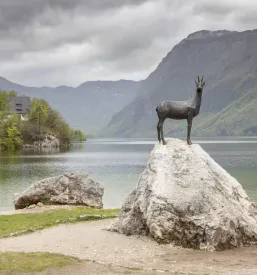 Urejeni apartmaji Bohinjsko jezero