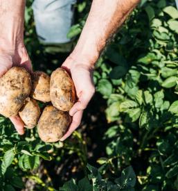 Kmečki turizem Gornja Radgona