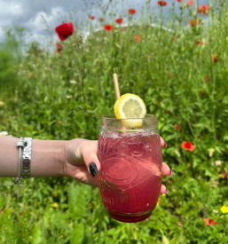 Prijetna gostilna v Tolminu