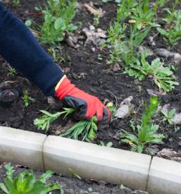 Ugodno urejanje okolice Prekmurje