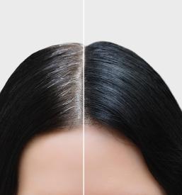 Frizerski salon Ptuj