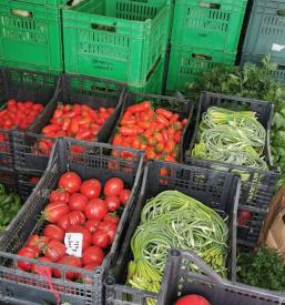 Ekološka kmetija Primorska