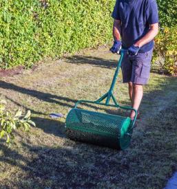 Čiščenje in urejanje okolice Koper, Obala