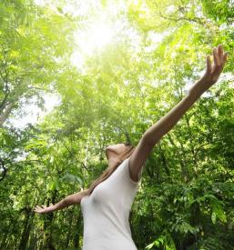 Online energijske terapije v Sloveniji