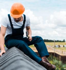 Dober krovec Goriška