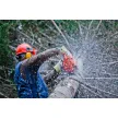 Vrtnarstvo Carpinus Janez Conta s.p.