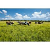 Turistična kmetija Benko