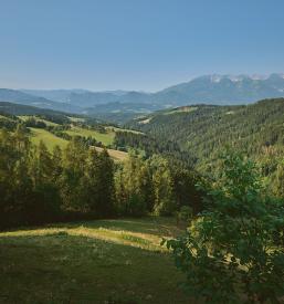 Sobe Logarska dolina, Solčava