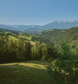 Sobe Logarska dolina, Solčava