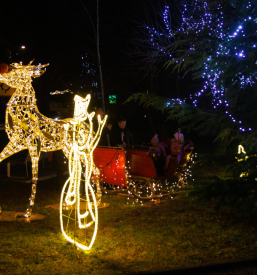 Promocija Ilirske Bistrice