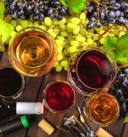 Turistična kmetija na Primorskem