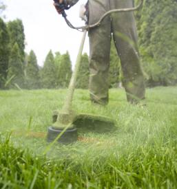 Zimska služba in košnja trave Dolenjska