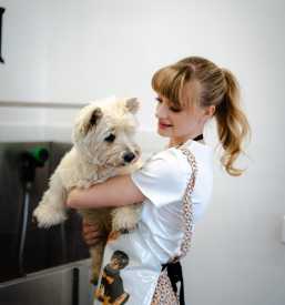 Kvaliteten pasji salon Slovenske gorice