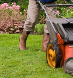 Posek, spravilo lesa in urejanje zelenih površin Bela Krajina, Dolenjska