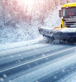 Zimska služba Dolenjska