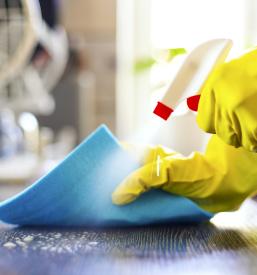 Čiščenje prostorov v Šoštanju na Savinjskem