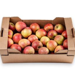 Dostava sadja za pisarne v Ljubljani z BTC tržnice