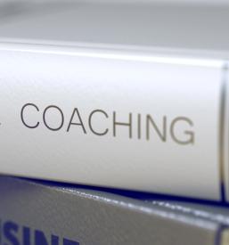 Business coaching Ajdovščina, Goriška