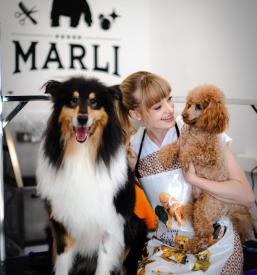 Nega psov v salonu Slovenske gorice