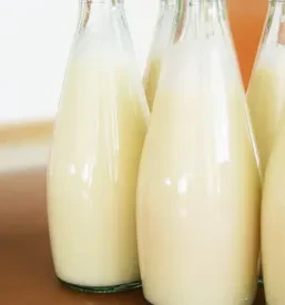 Odkup živine Posavje