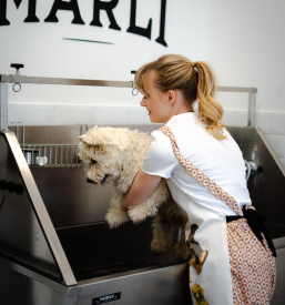 Ugoden pasji salon Lenart