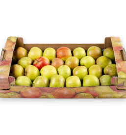 Dostava sadja za podjetja Ljubljana BTC tržnica