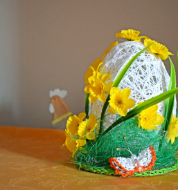 Promocija kraja Ilirska Bistrica