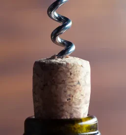 Prodaja buteljčnih vin Goriška Brda