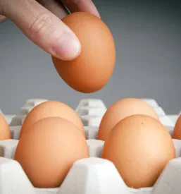 Živilski market Jesenice na Dolenjskem