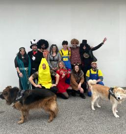 Distribucija in založništvo Brežice