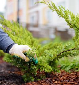 Ugodno urejanje vrtov Štajerska