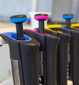 Kvalitetni digitalni tisk Slovenija