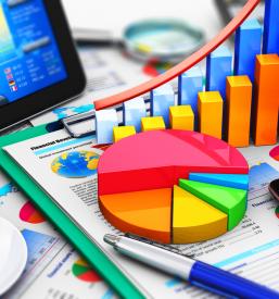 Knjigovodski servis Velenje, Savinjska