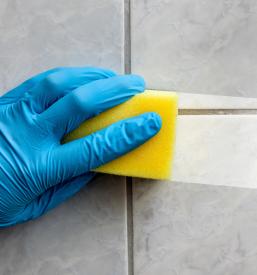 Generalna čiščenja Kranj, Gorenjska