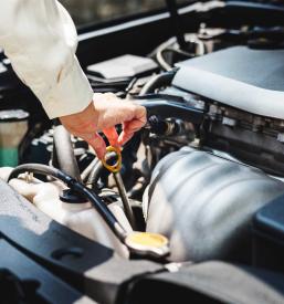 Hitra avtovleka Podčetrtek, Slovenija