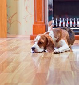 Prodaja in dostava parketa Štajerska