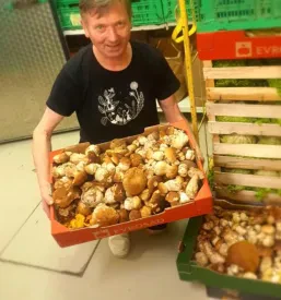 Domača slovenska zelenjava in sadje Mengeš, Domžale, Ljubljana, Osrednja Slovenija
