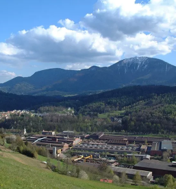 Günstige geschmiedete Walzen Europa