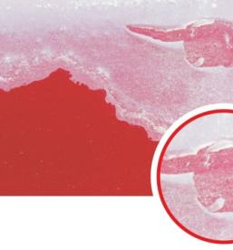 Prodaja materiala avtoličarske delavnice Slovenija