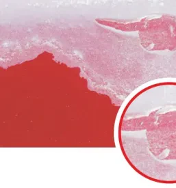 Prodaja materiala avtoličarske delavnice Slovenija