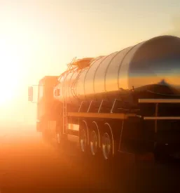 Cestni transport tovora Šentrupert, Dolenjska
