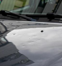 Avtoklepar, avtoličar Ljubljana, okolica