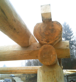 Postavljanje lesenih brunaric Slovenija