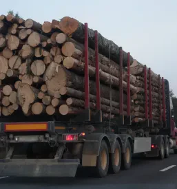 Prevoz hlodovine Bela Krajina