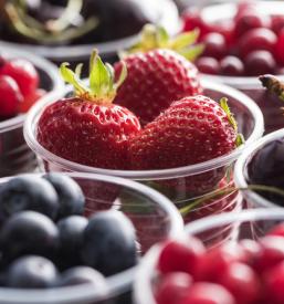 Ugodni sadni lončki Ljubljana