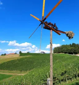 Obisk kmečkega turizma Maribor