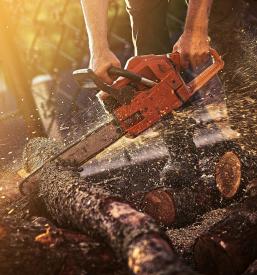 Orodje Stihl in motorne kosilnice Slovenija