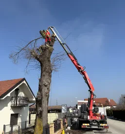 Skrb za gozdne poti Starše