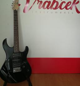 Servis kitare Savinjska, Štajerska